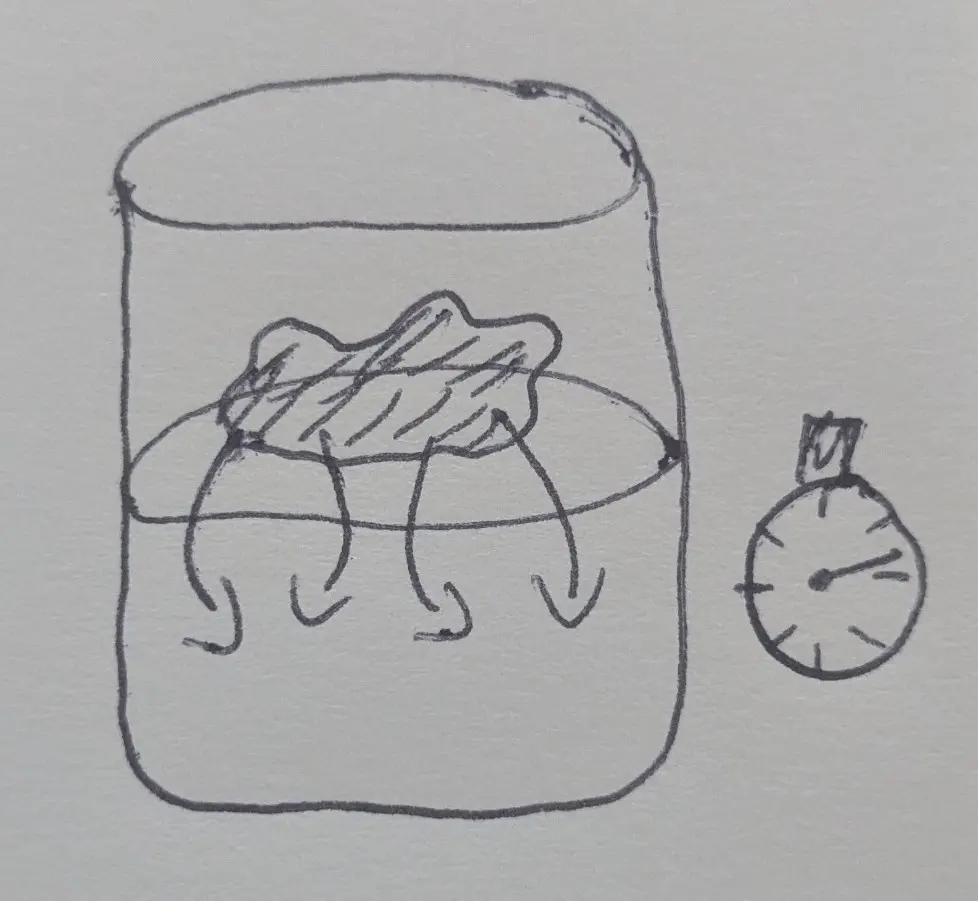 A sketch of a powder floating on the surface of a liquid in a beaker.
