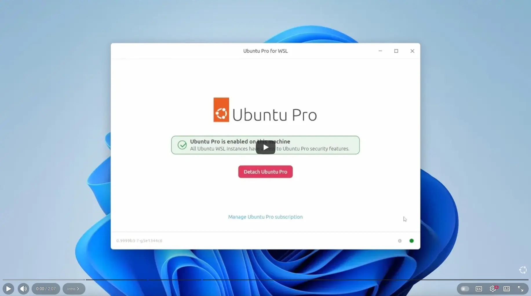 Pictured: launch video of Pro for WSL